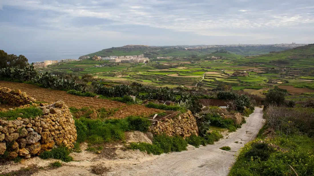 Terraced fields on Gozo